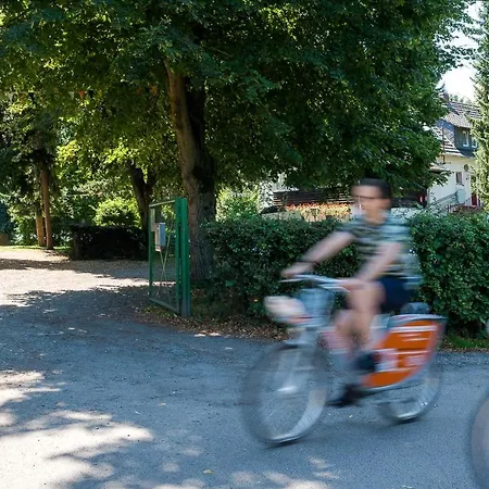Ferienwohnung Das Wiesenhaus: Wohnen direkt am Rhein Köln Exterior foto